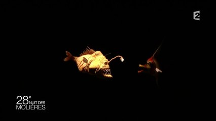 Séquence 20 000 lieues sous les mers - Christian Hecq, 3 comédiens et 2 marionnestistes #Molières2016