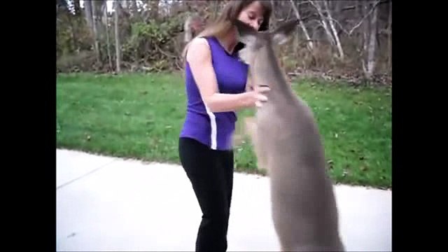 Ella Todos Los Días Sale Al Bosque Para Buscar Algo Que Ni Te Imaginas Para Darle El Desayuno