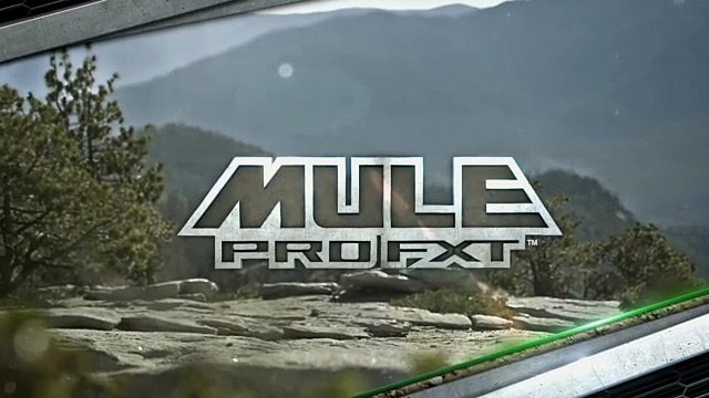 Kawasaki MULE PRO-FXT EPS 4