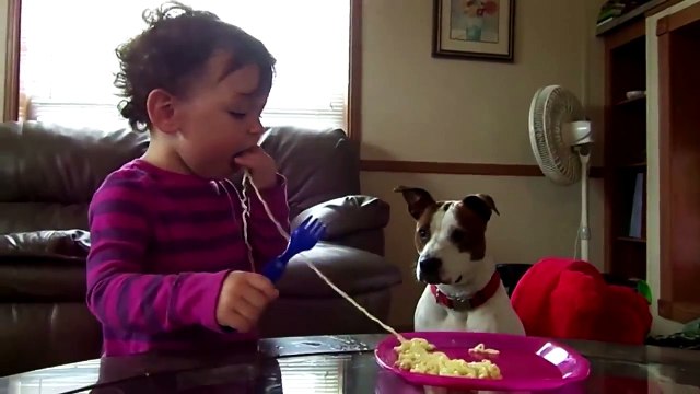Cute Babies love Funny Dogs Compilation 2016 Cute Puppies and Babies (HD)