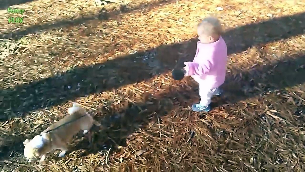 Cute Babies Walking Dogs Compilation 2014