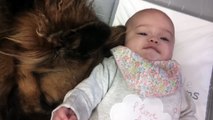 Cute baby and dog bonding