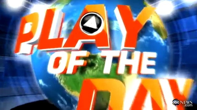 Caught on Tape Dog Saves Drowning Puppy CUTE ANIMALS Good Morning America ABC News