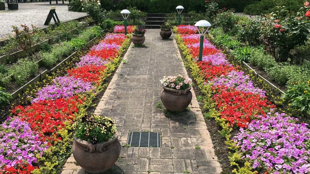 Flower Garden, Bluebonnet Mayo 2016