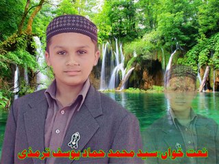 sayad Hammad Yusaf Saha-Sannu koji-BY Hafiz aveed Anjum Attari-0307-5695701