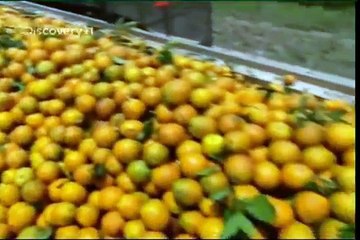 Orange Juice -  How It's Made