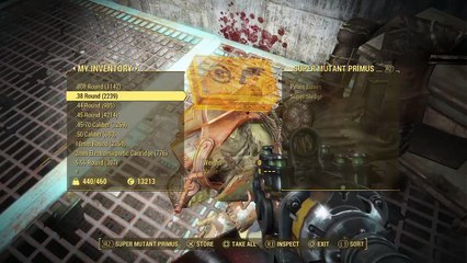 Fallout 4 Far harbor (115)