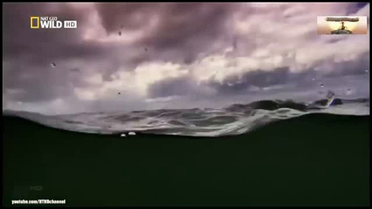 New Best Club Party Dance Summer House Music Mix 2016 - CLUB MUSIC ACBD (1)