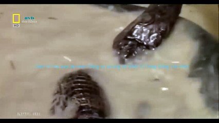 Electro & House 2016 Best Party Dance, Remix, Club, Music Mix (18)