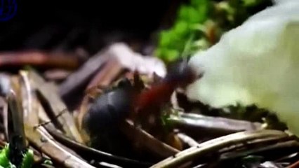 Electro & House 2016 Best Party Dance, Remix, Club, Music Mix (27)