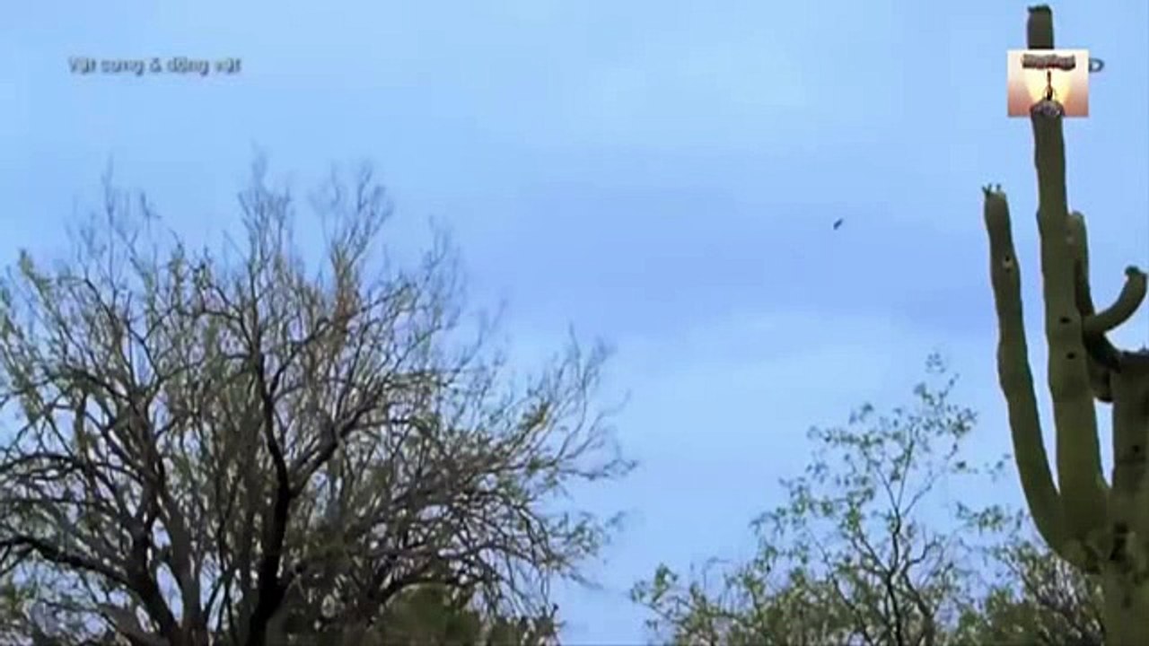 New Best Club Party Dance Summer House Music Mix 2016 - CLUB MUSIC ACBD (21)