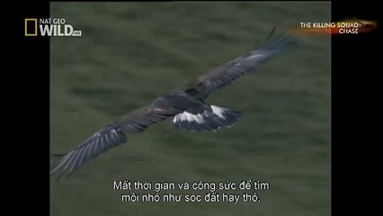 TV Reporter Shot Dead Live On Air! SHOCK FOOTAGE (28)