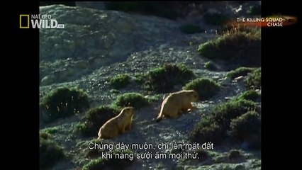 TV Reporter Shot Dead Live On Air! SHOCK FOOTAGE (29)