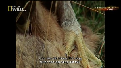 Tesla Model X Redefines the SUV (35)