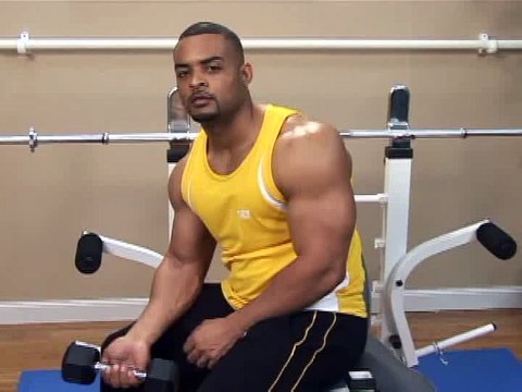 Bodybuilding Exercises Bodybuilding Forearm Wrist Curls With Dumbbells