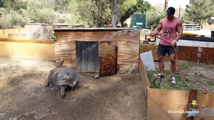 Calum Von Moger Visits Petting Zoo & Back Workout for Mass   Episode 4