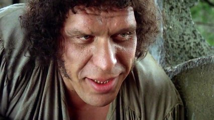 "You just shook your head" - The Princess Bride