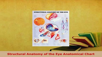 Download  Structural Anatomy of the Eye Anatomical Chart  EBook