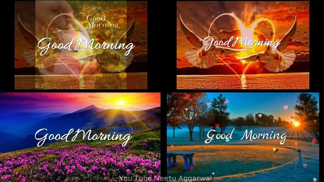 Good Morning Greetings,Wishes,Quotes,Sms,Saying,E-Card,Wallpapers,Good Morning Whatsapp Video