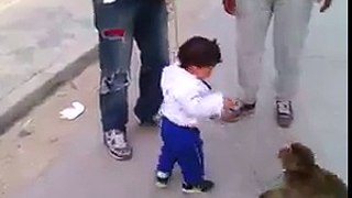most funny fight kid with monky
