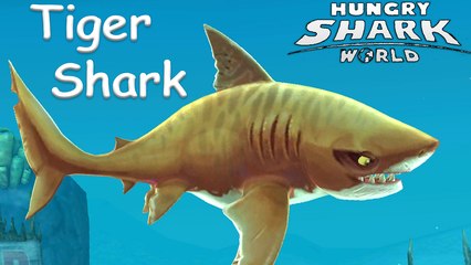 Tiger Shark Fearsome Predator - Hungry Shark World on Pacific Islands Gameplay 2016