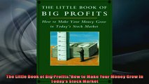 FREE DOWNLOAD  The Little Book of Big Profits How to Make Your Money Grow in Todays Stock Market  BOOK ONLINE