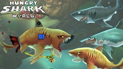 Tiger Shark vs Mako,Bull - Hungry Shark World Gameplay 2016