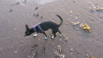 Chili Moon is learning about water