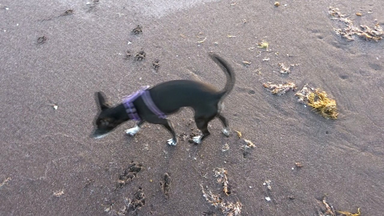 Chili Moon is learning about water