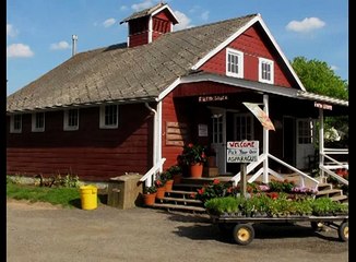 LA VERDADERA HISTORIA DE PEPPA PIG