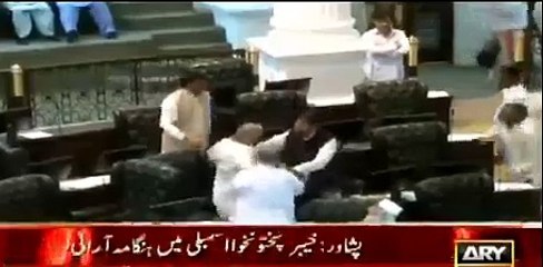 Fight in KPK Assembly between PTI MPAs