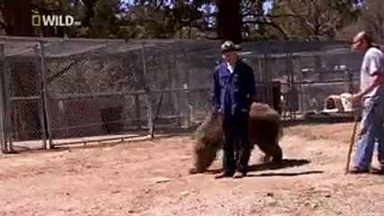 never move in front of bear very funny