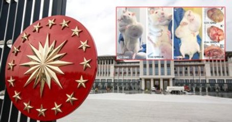 Cumhurbaşkanlığı'na Sunulan Korkunç GDO Raporu