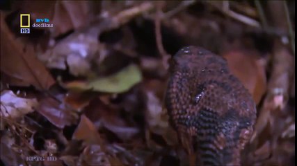 Classical Music for Studying and Concentration (2)