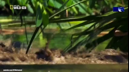 Classical Music for Studying and Concentration (8)