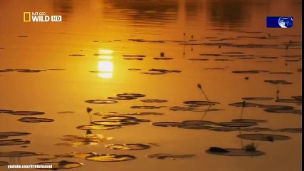 Classical Music for Studying and Concentration (9)