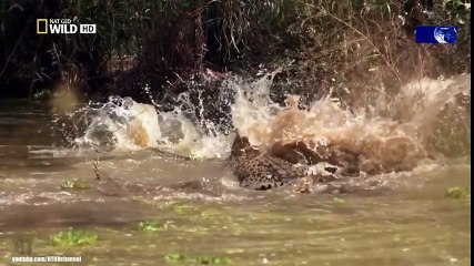 Classical Music for Studying and Concentration (15)