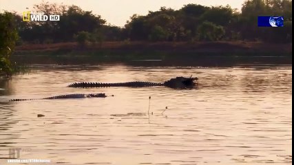 Classical Music for Studying and Concentration (16)