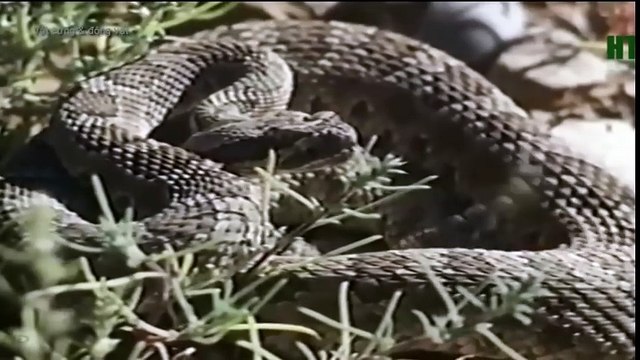 New Best Club Dance Music Mashups Remixes Mix 2016 News (8)