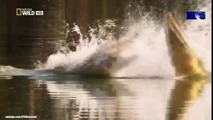 Classical Music for Studying and Concentration (23)