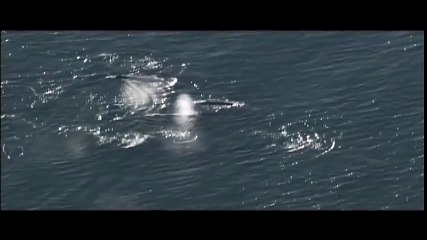 Classical Music for Studying and Concentration (39)