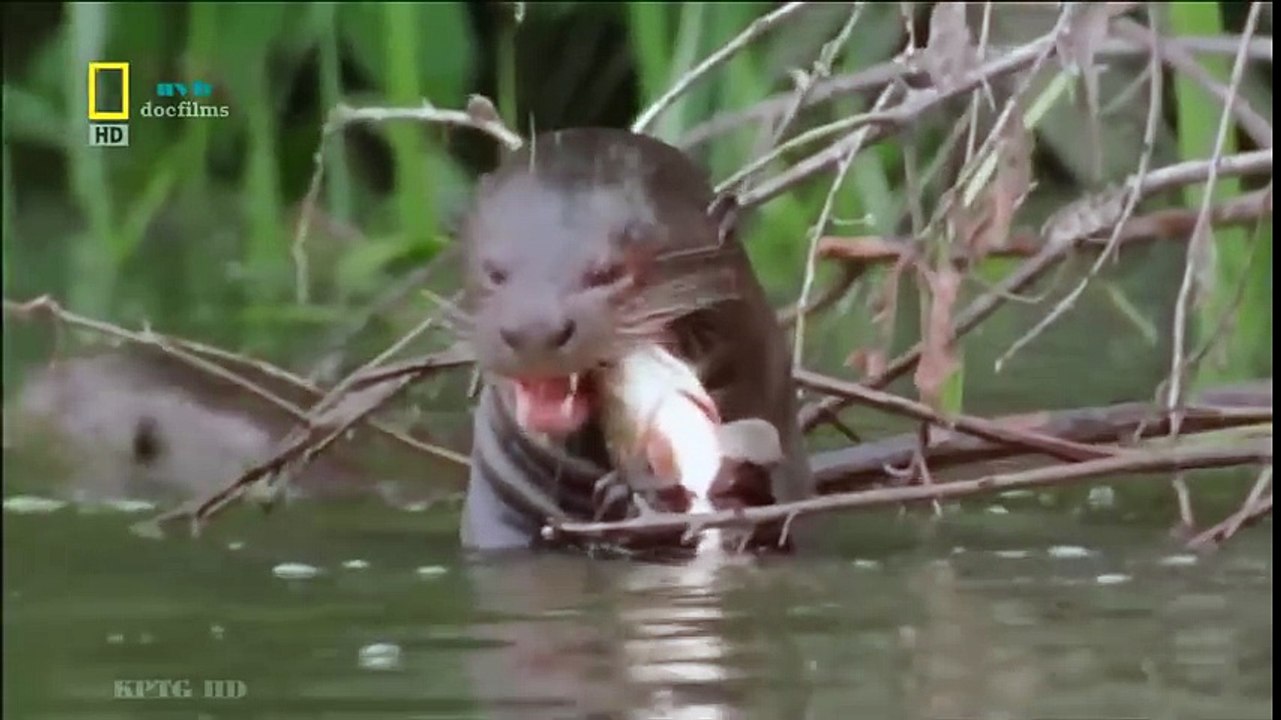 Classical Music for Studying and Concentration (43)