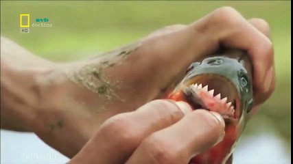 Classical Music for Studying and Concentration (47)