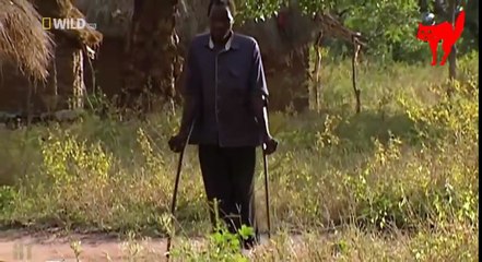 Sports Car Monster Truck (26)