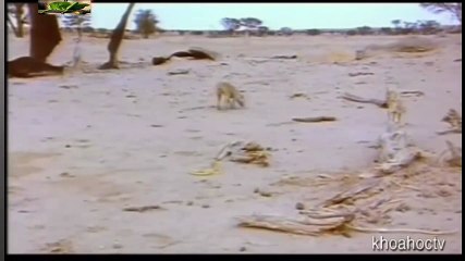 Top 10 Worst As Seen on TV Items Ever (19)