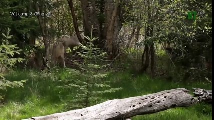 Top 10 Worst As Seen on TV Items Ever (23)