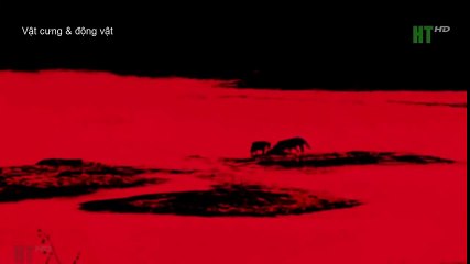 Top 10 Worst As Seen on TV Items Ever (25)