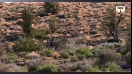 Sports Car Monster Truck (33)