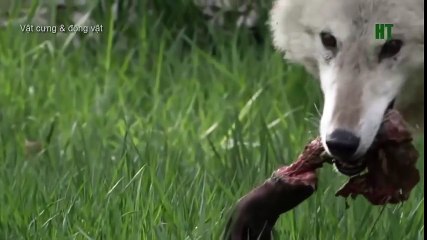 Top 10 Worst As Seen on TV Items Ever (28)