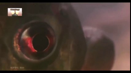 Travel Vietnam  GoPro Hero  Black  ACBD (33)